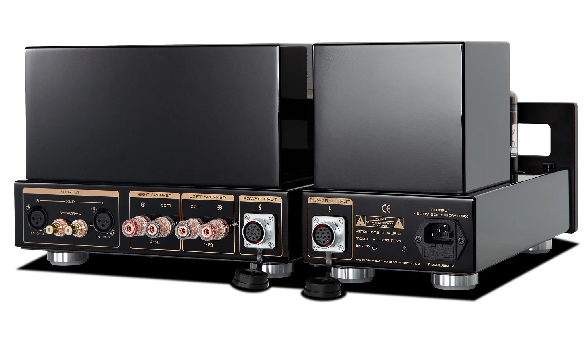 Cayin HA-300 MK3 rear inputs and outputs