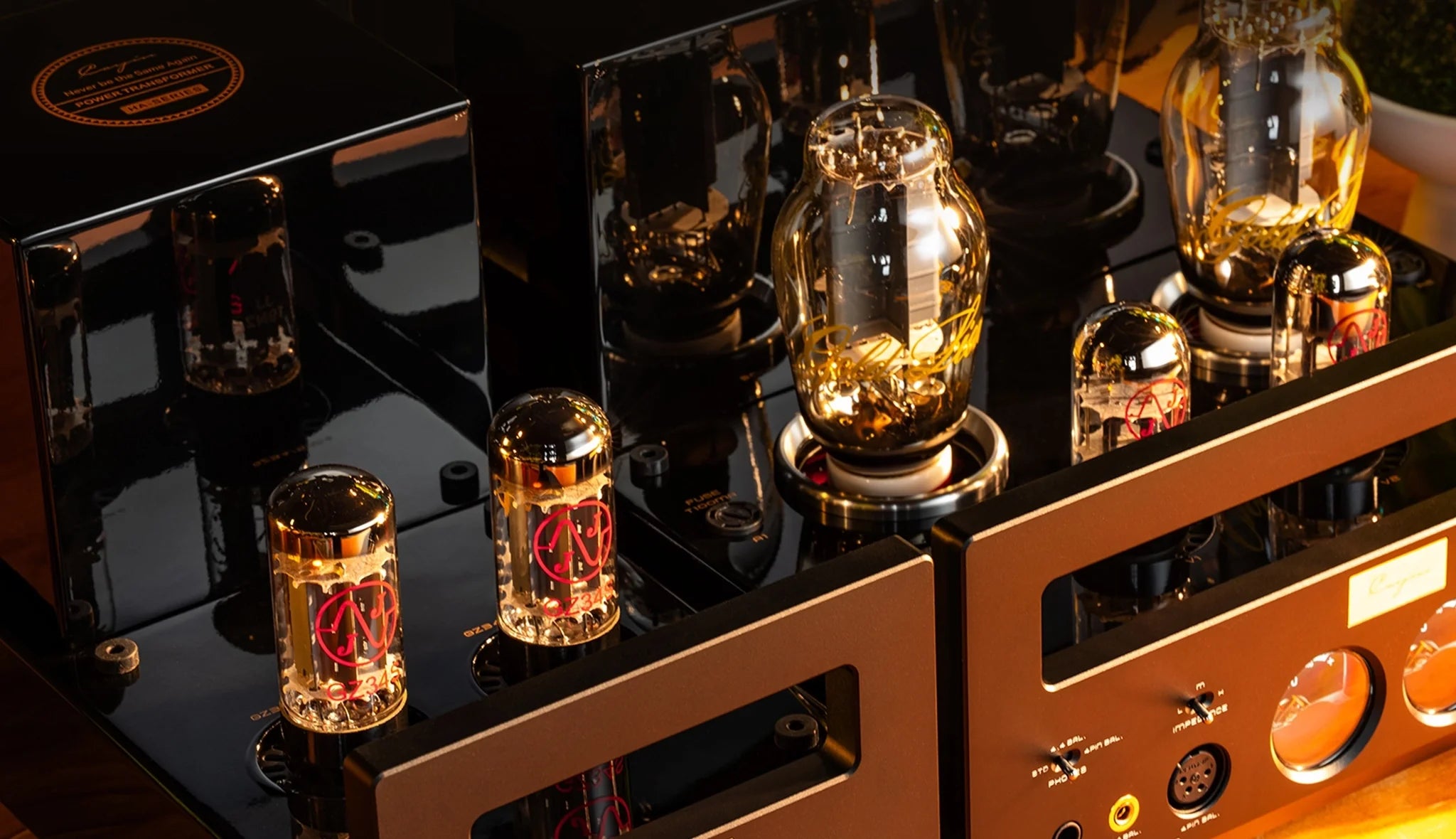 Cayin HA-300 MK3 tubes close-up