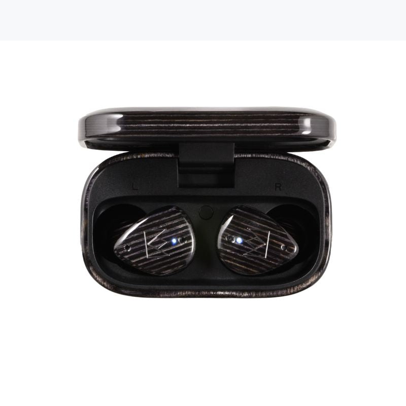 noble audio fokus prestige encore black earbuds and case internal view